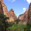 Zion Zion