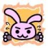 かんた うさぎ的相片