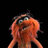 Φωτογραφία Animal the muppet