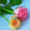 praveen decode的相片