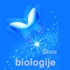 Picture of Snezana Trifunovic