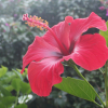 Imagen de Ricardo Flores Rodriguez