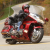 Floyd Saner - Tail of the Dragon, U.S. 129, NC Floyd Saner - Tail of the Dragon, U.S. 129, NC