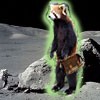 Picture of Russ H