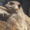 Picture of Chris Furlong