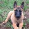 When I was 4 months...lol When I was 4 months...lol