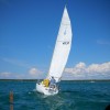 Sailing Away! Sailing Away!
