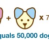 my two favorite things put together: math and dogs