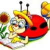 Ladybug Ladybug
