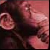 Picture of Jason Mitchell