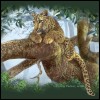 صورة توته مجد