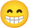 big grin big grin